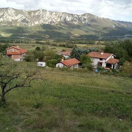 Slavi Vipava