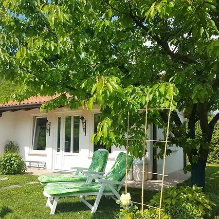 Slavi Vipava