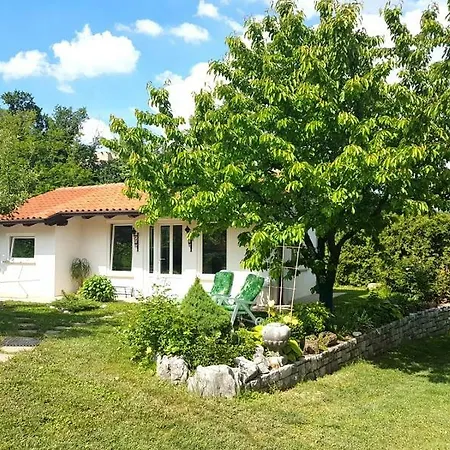 Slavi * Vipava