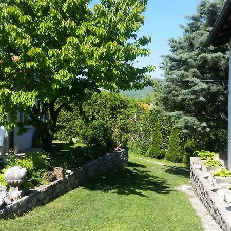 Slavi Vipava